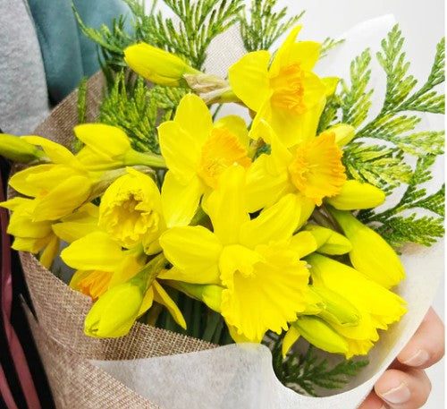 Step into Spring: Gorgeous Blooms to Brighten Your Days