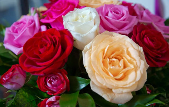 Roses for Every Occasion: How to Enjoy Rose Bouquets All Year Round