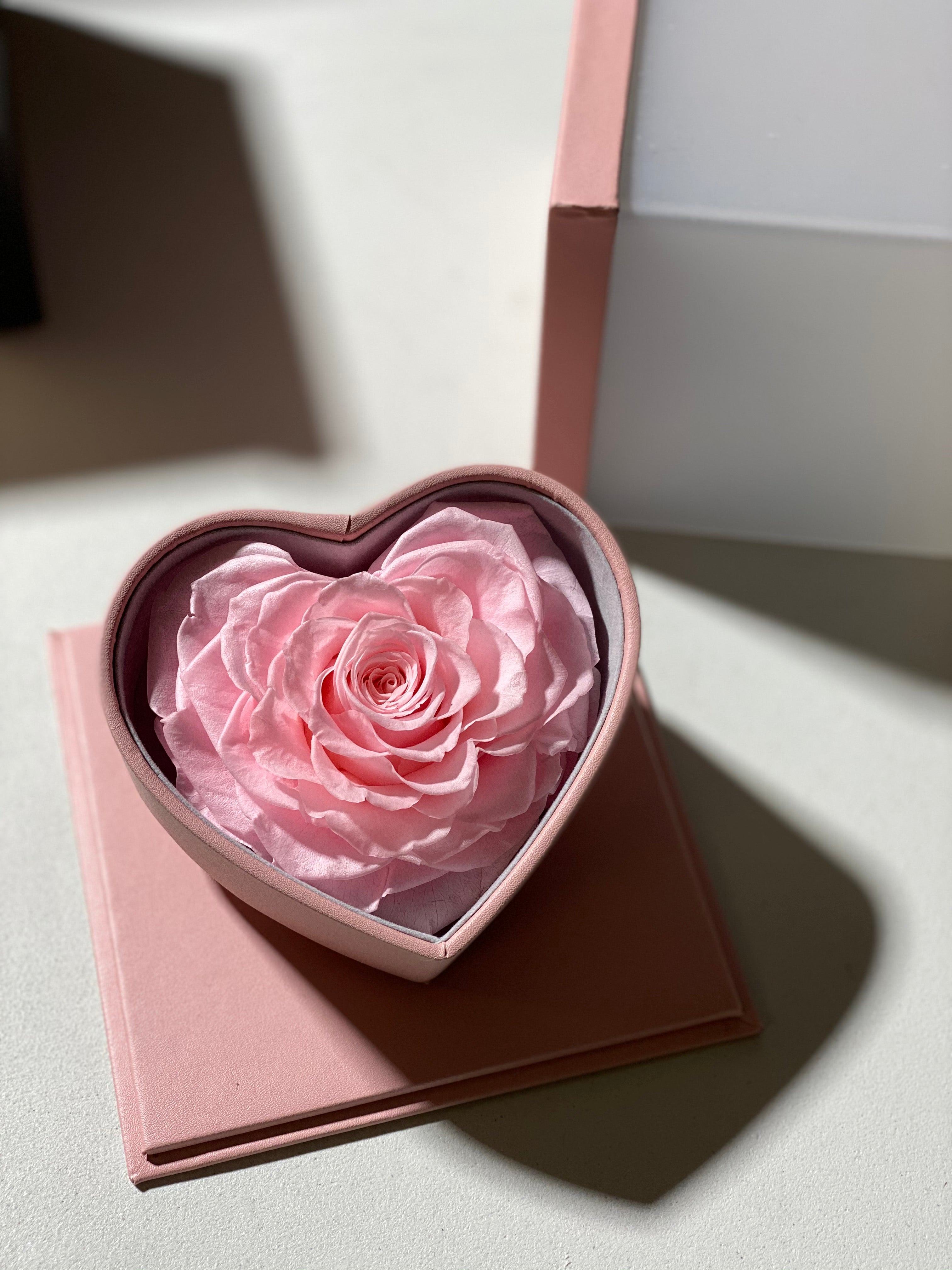 Dried Flowers Melbourne Everlasting Preserved Flower Arrangements