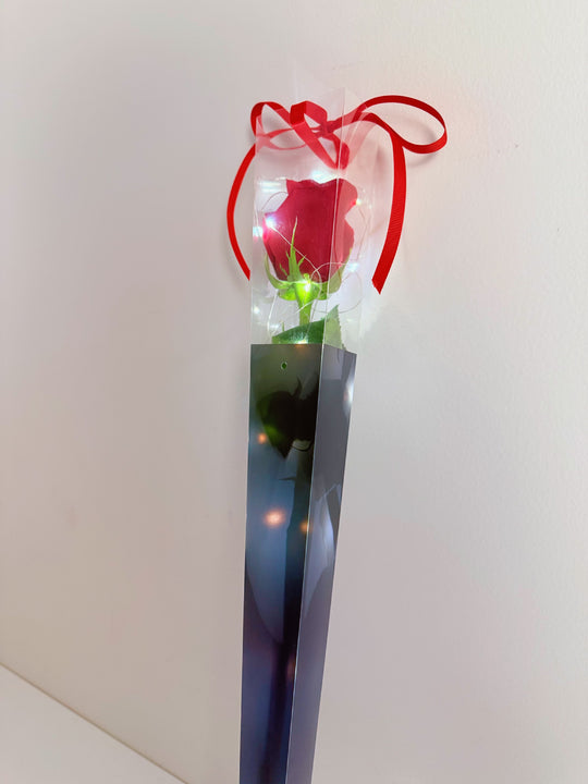 Fairy Light Single Rose