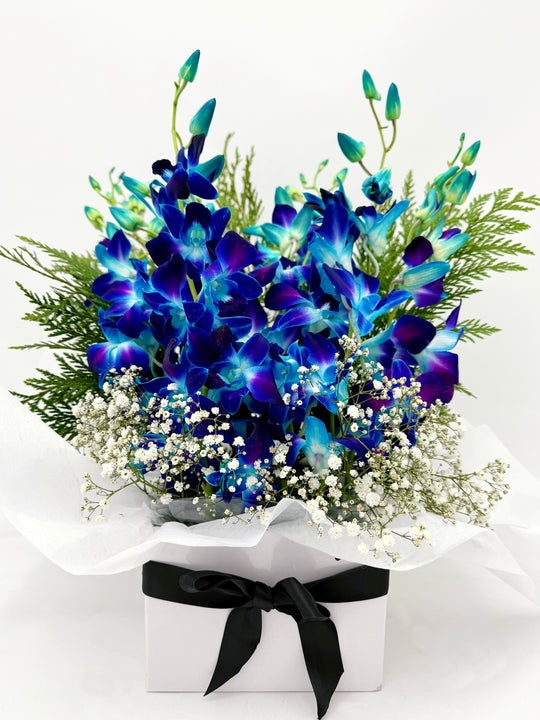 Blue Orchid Box