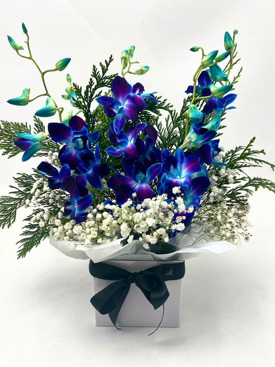 Blue Orchid Box