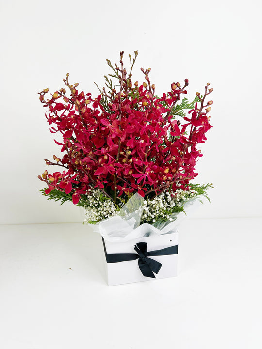 Red Orchid Box