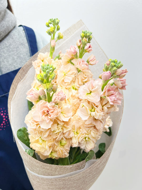 Stock Bouquet - Assorted Colours