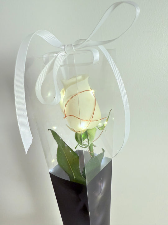 A white rose with LED fairy lights wrapped around the stem, presented in a clear plastic box with a white ribbon bow. Shot by The Little Market Bunch, Melbourne.