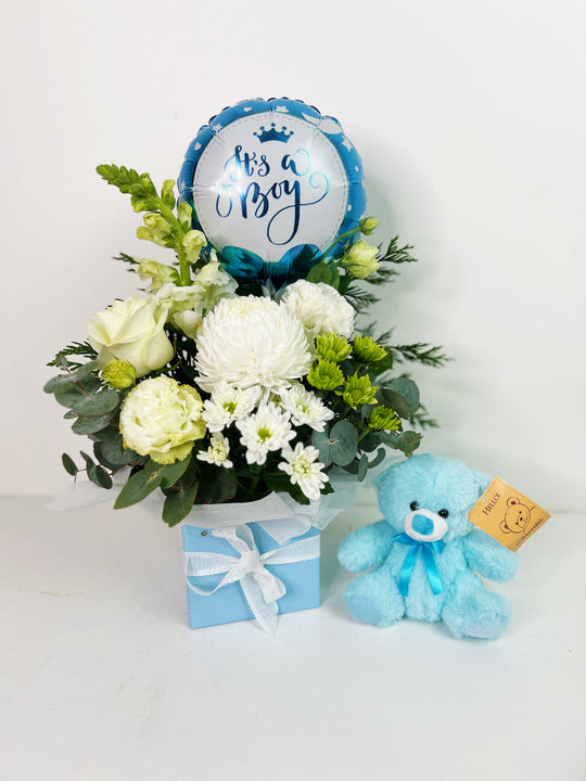 New Born Baby Boy