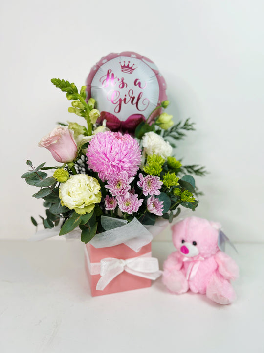New Born Baby Girl