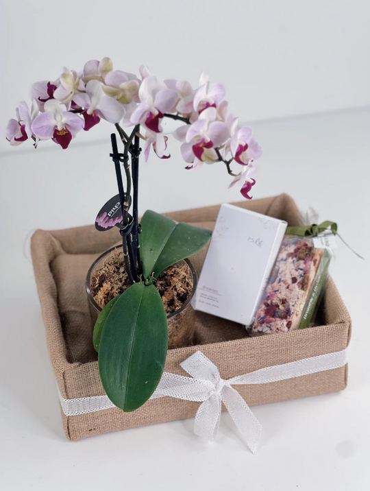 The Little Market Bunch