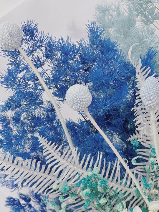 Blue Haze shot by The Little Market Bunch in Melbourne.