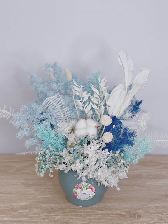 Blue Haze shot by The Little Market Bunch in Melbourne.