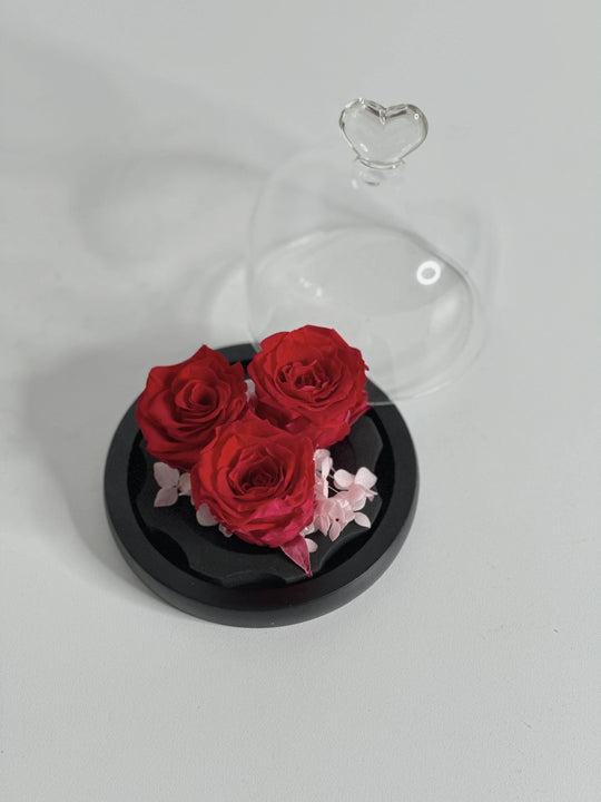 Everlasting Preserved Rose Head Glass Dome 10cm shot by The Little Market Bunch in Melbourne.