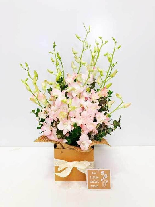 Singapore Orchid Box shot by The Little Market Bunch in Melbourne.