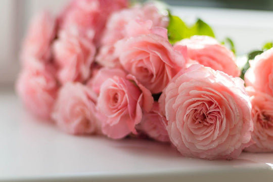 Christmas Flower Arrangements for Corporate Celebrations shot by The Little Market Bunch in Melbourne.