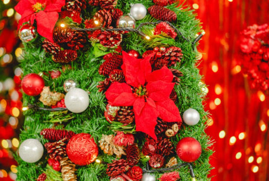 Celebrate the Joy of Gifting with Christmas Flowers and Creative Pairings