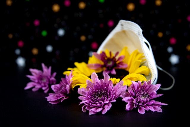 Chrysanthemums shot by The Little Market Bunch in Melbourne.