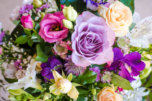 How Fresh Flowers in Melbourne Enhance Your Mood and Health?