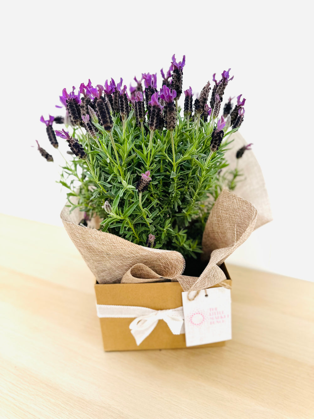 Lavender Box