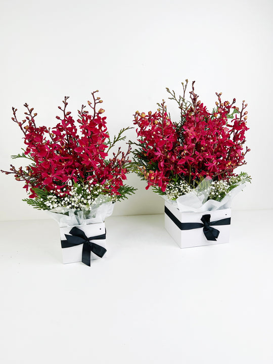 
                  
                    Red Orchid Box
                  
                