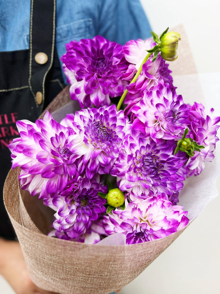 
                  
                    Dahlia Bouquet - Assorted Colours
                  
                