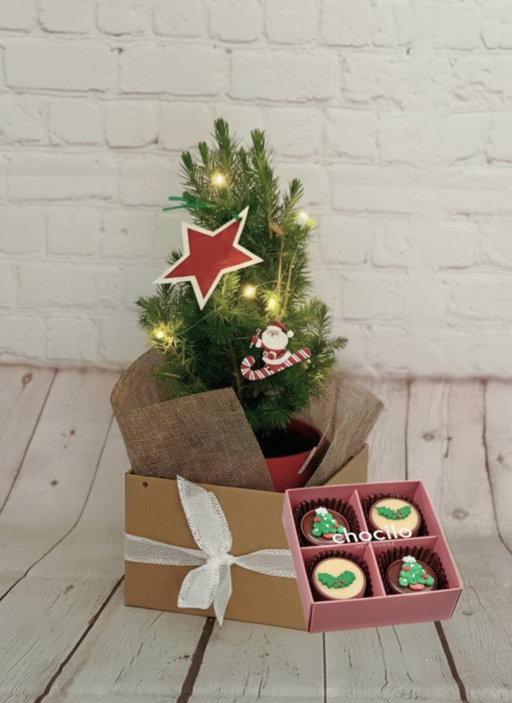 
                  
                    Christmas Tree Bundle
                  
                