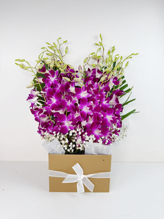 
                  
                    Singapore Orchid Box - Assorted Colours
                  
                