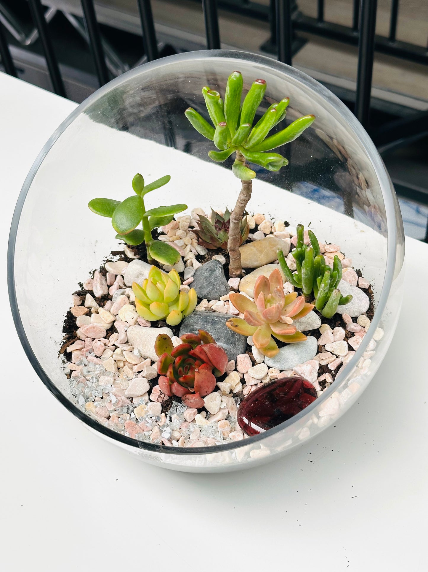 
                  
                    Succulent Glass Bowl
                  
                