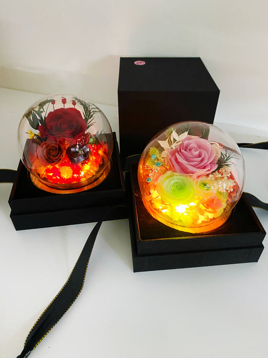 
                  
                    Everlasting Rose Dome Wood Base with Lights
                  
                