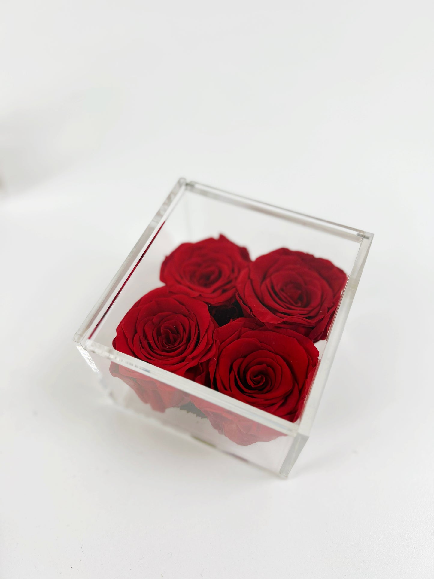 
                  
                    Everlasting Red Rose Acrylic Cube
                  
                