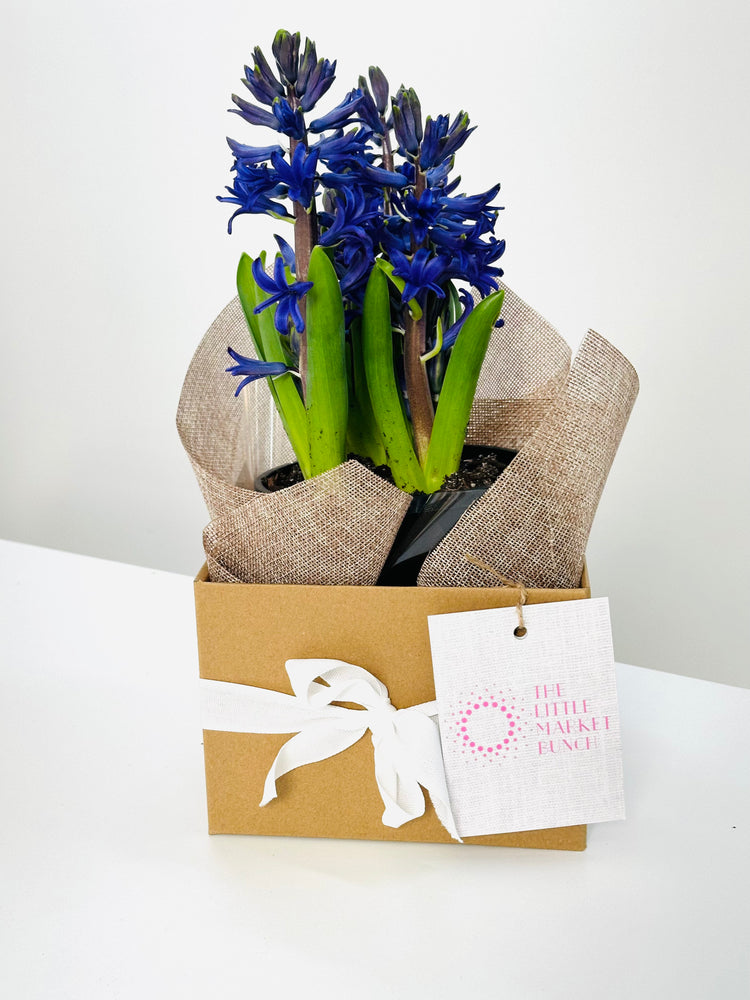 Daily Fresh Flowers | Same Day Delivery Melbourne | Online Florist