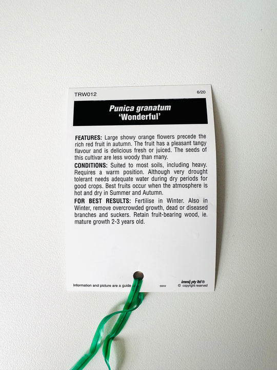 
                  
                    Gardening label for Punica granatum 'Wonderful' on a white background
                  
                