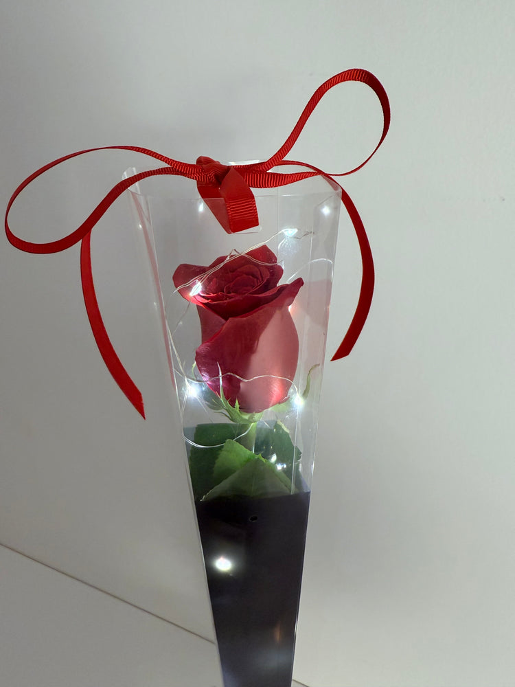 
                  
                    Fairy Light Single Rose
                  
                