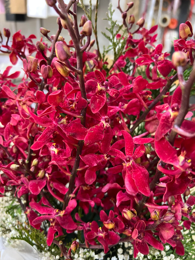 
                  
                    Red Orchid Box
                  
                