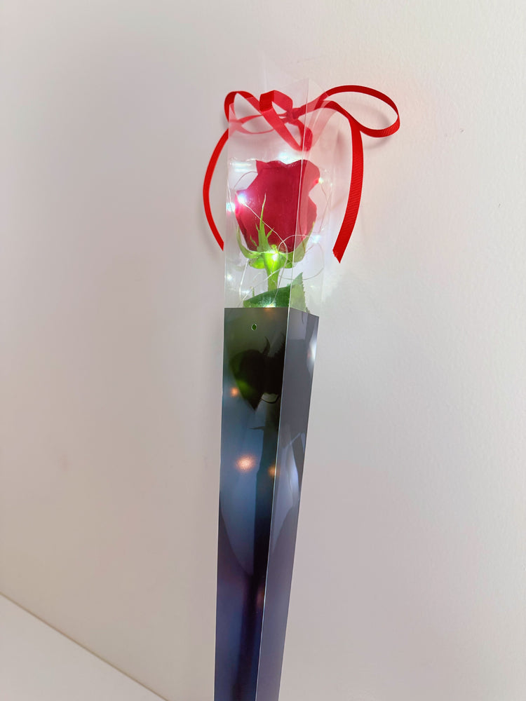 
                  
                    Fairy Light Single Rose
                  
                