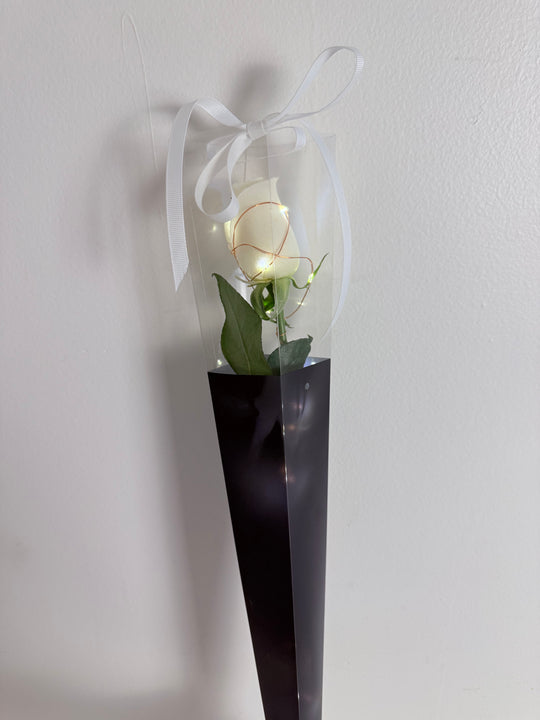 
                  
                    Fairy Light Single Rose
                  
                