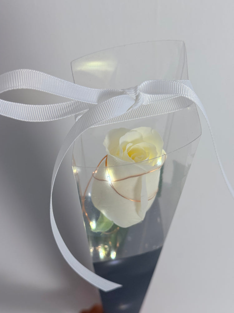
                  
                    Fairy Light Single Rose
                  
                