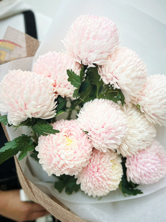 
                  
                    Disbud Mum Bouquet
                  
                