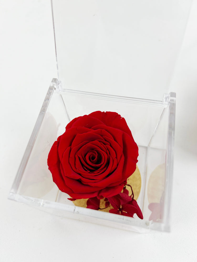 
                  
                    Everlasting Red Rose Acrylic Cube
                  
                