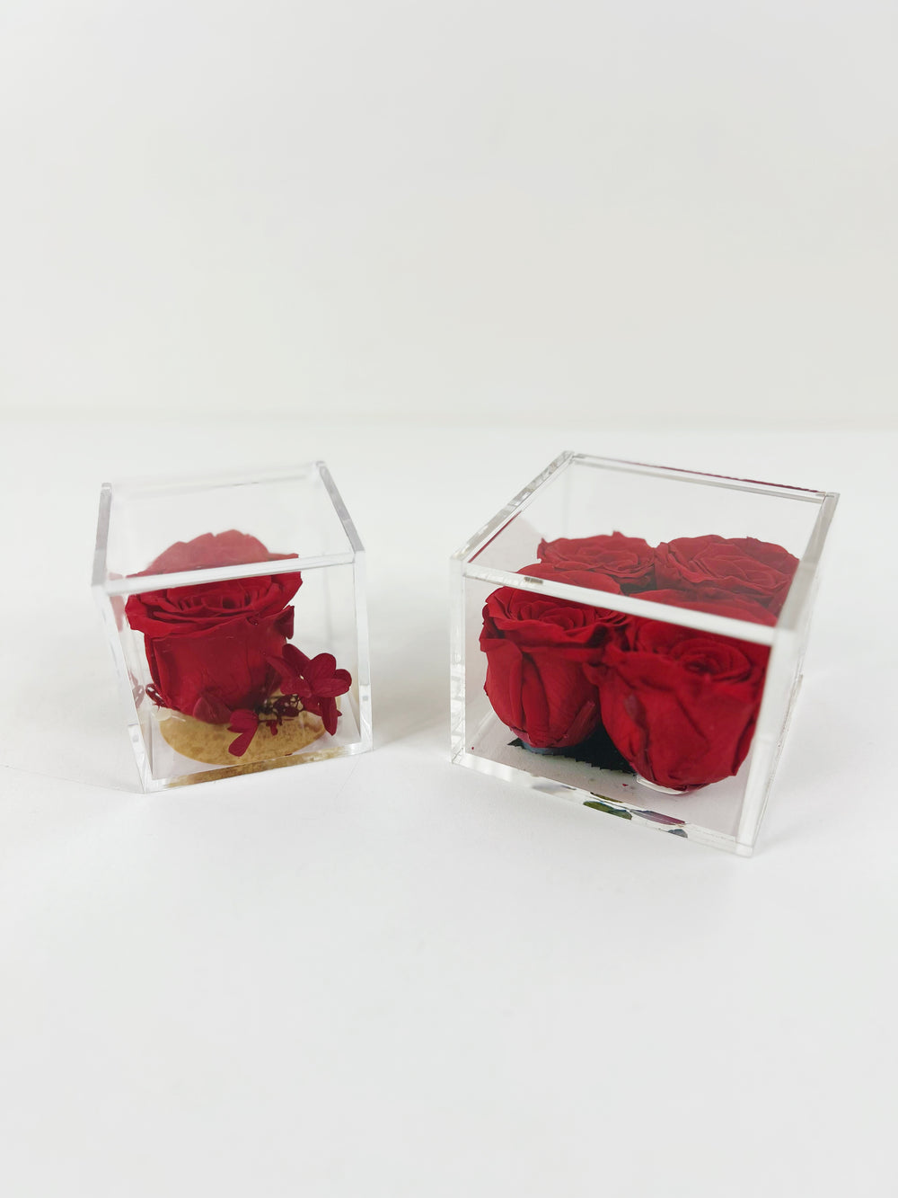 Everlasting Red Rose Acrylic Cube