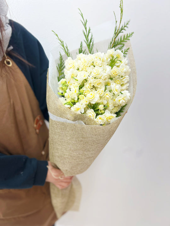 
                  
                    Daffodil Erlicheer Bouquet - Assorted Colour
                  
                