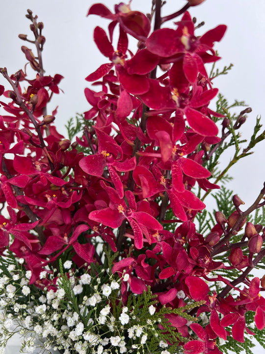 
                  
                    Red Orchid Box
                  
                