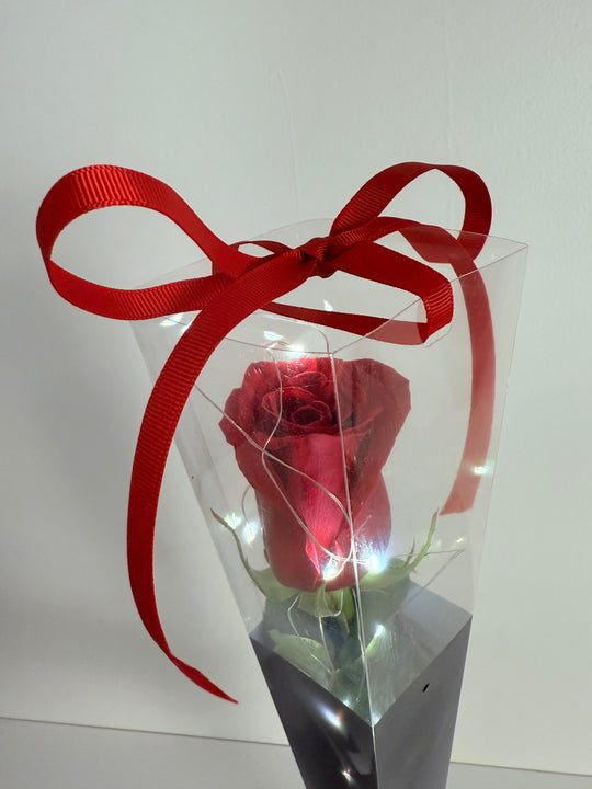A red rose with LED fairy lights wrapped around the stem, presented in a clear plastic box with a white ribbon bow. Shot by The Little Market Bunch, Melbourne.