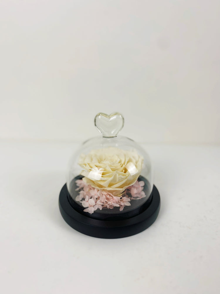 
                  
                    Everlasting Preserved Rose Head Glass Dome 10cm
                  
                