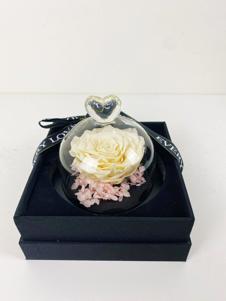 
                  
                    Everlasting Preserved Rose Head Glass Dome 10cm
                  
                