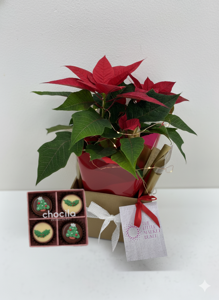 
                  
                    Christmas Poinsettia Bundle
                  
                
