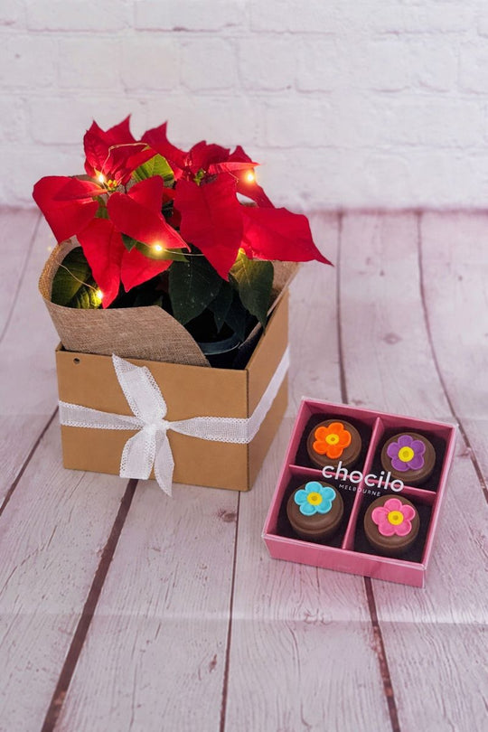 Potted plant with red flowers and lights next to a box of chocolates on a wooden surface.