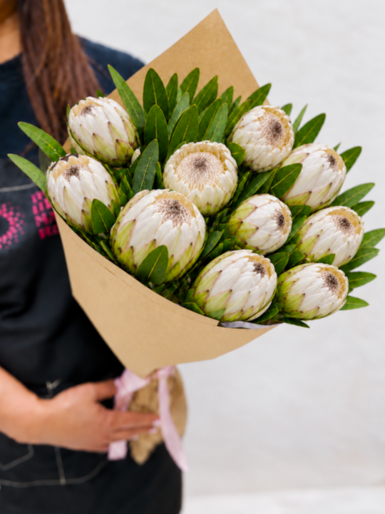 
                  
                    Protea Bouquet
                  
                