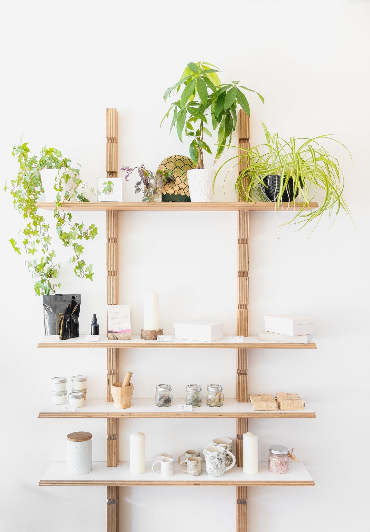a-selection-of-candles-and-plants-on-wooden-shelves - The Little Market Bunch