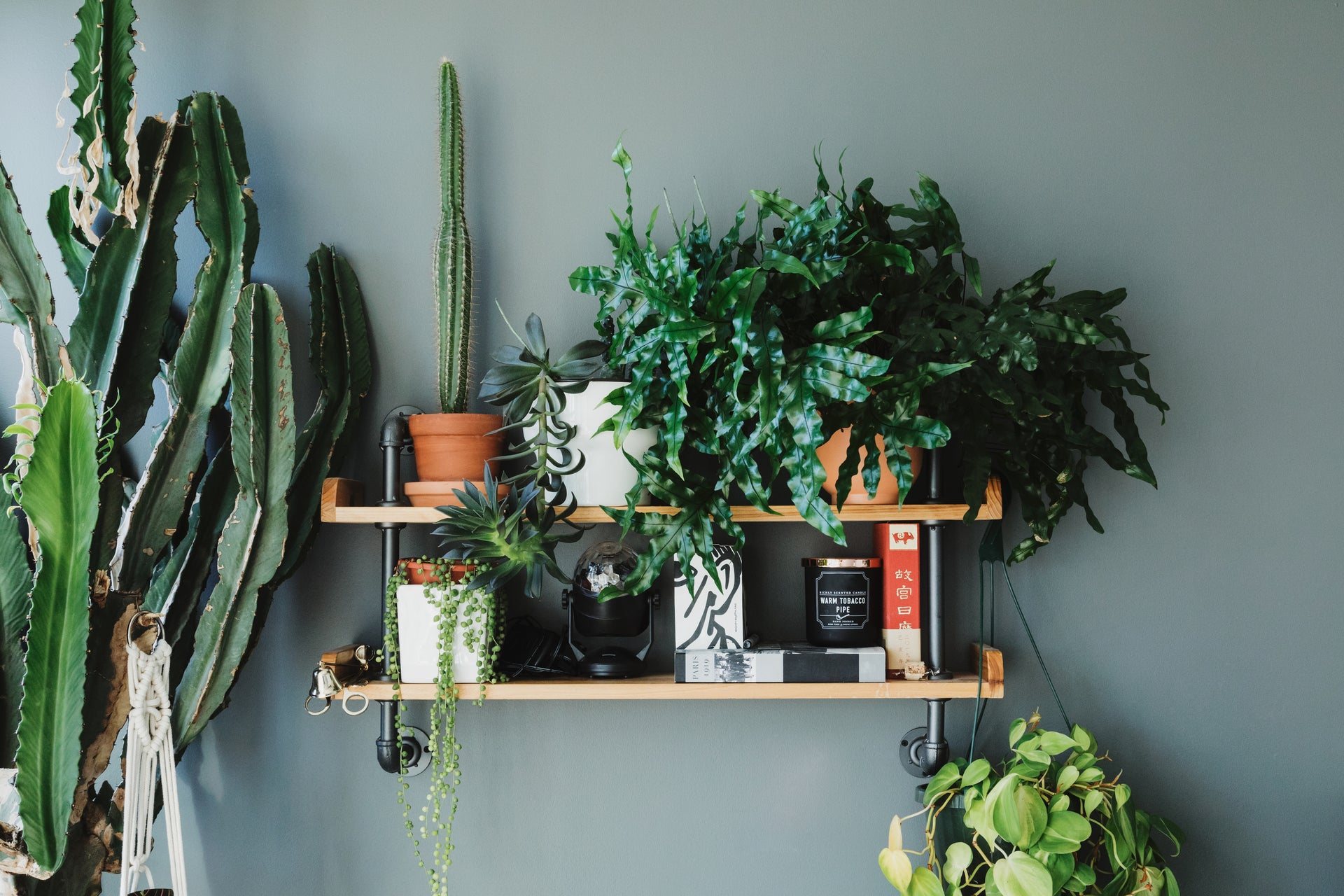 bringing-the-outside-in - The Little Market Bunch
