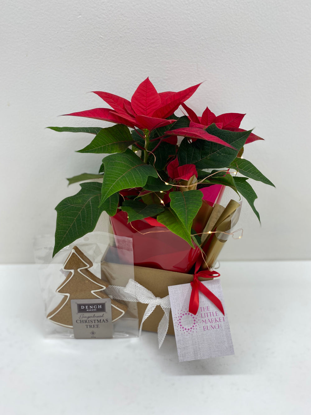 Christmas Poinsettia & Biscuits Bundle shot by The Little Market Bunch in Melbourne.