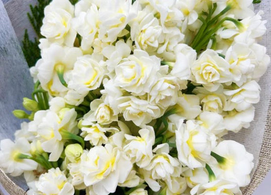 
                  
                    Bouquet of white flowers with green stems on a neutral background
                  
                